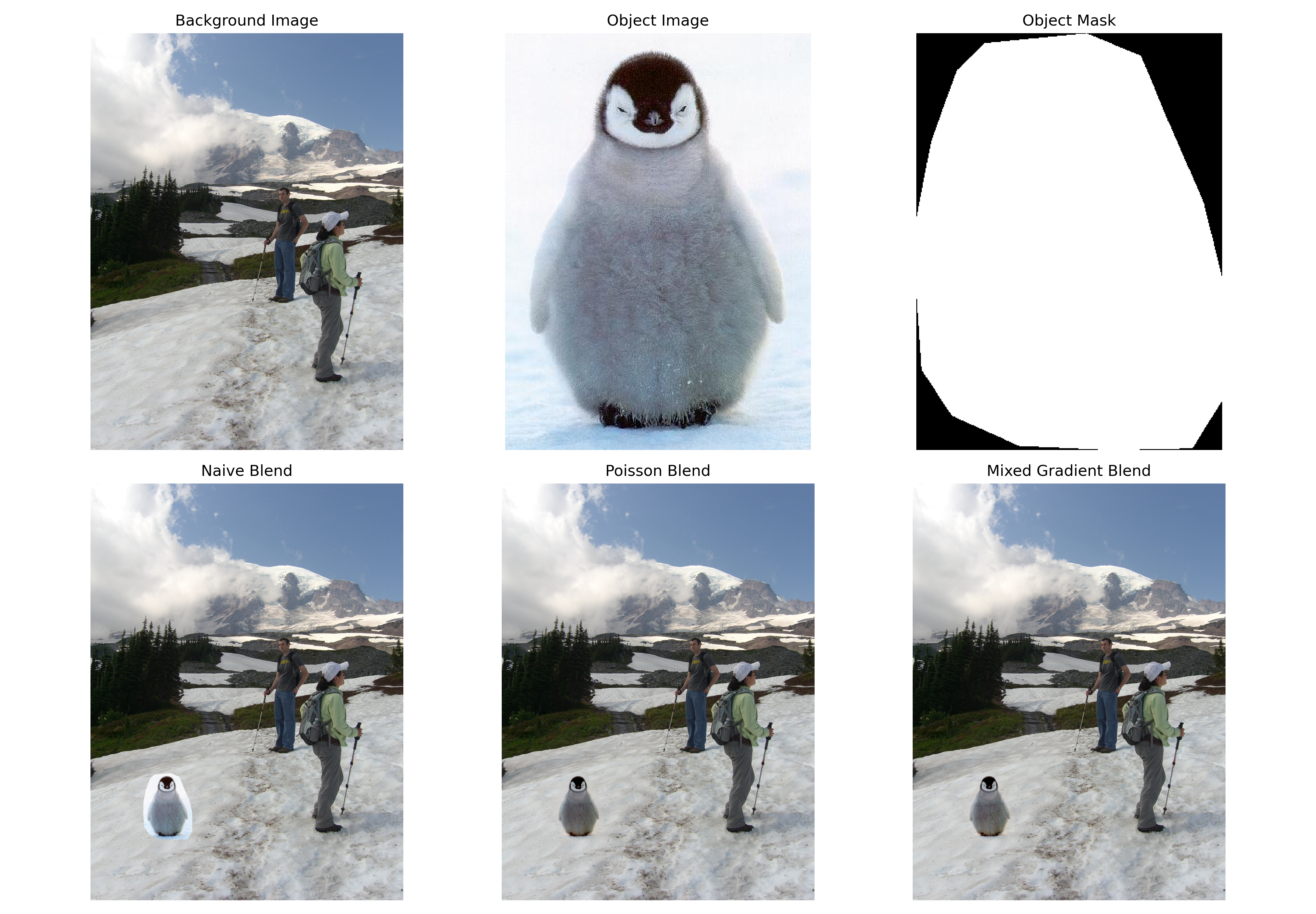 Penguin Gradient Domain Fusion